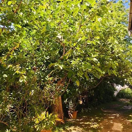 Retro Appartamento *